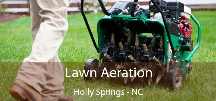  Lawn Aeration Holly Springs - NC