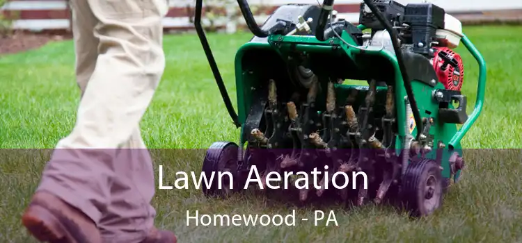 Lawn Aeration Homewood - PA