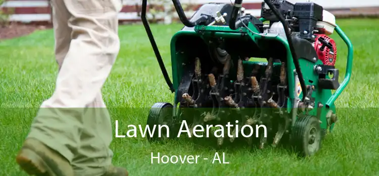 Lawn Aeration Hoover - AL