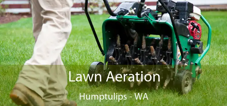 Lawn Aeration Humptulips - WA