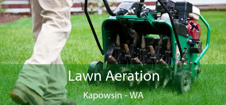 Lawn Aeration Kapowsin - WA