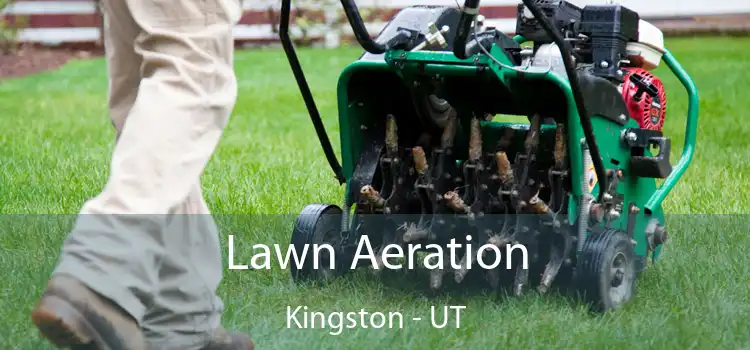 Lawn Aeration Kingston - UT