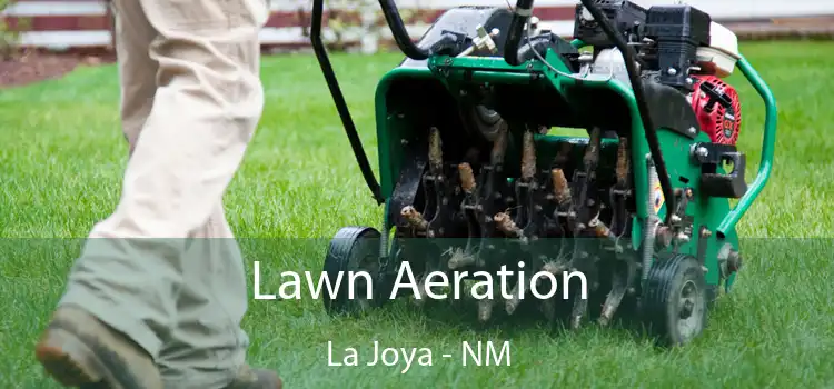 Lawn Aeration La Joya - NM
