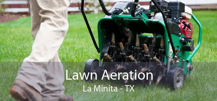 Lawn Aeration La Minita - TX