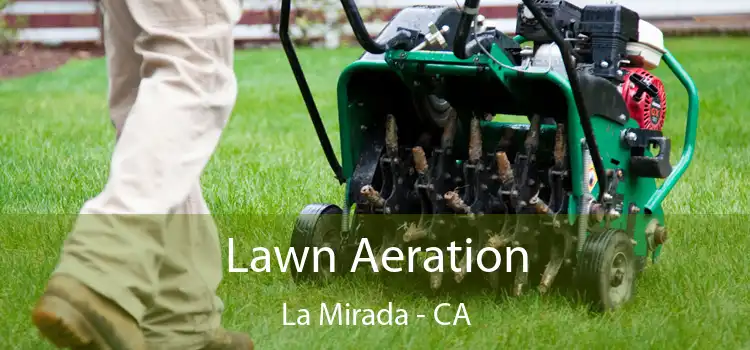 Lawn Aeration La Mirada - CA