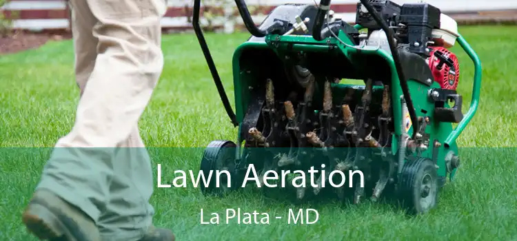 Lawn Aeration La Plata - MD