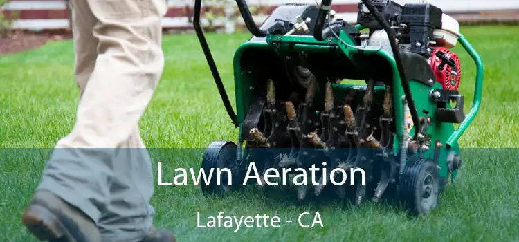 Lawn Aeration Lafayette - CA