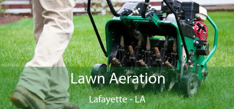 Lawn Aeration Lafayette - LA