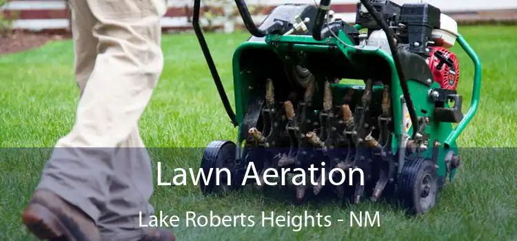  Lawn Aeration Lake Roberts Heights - NM