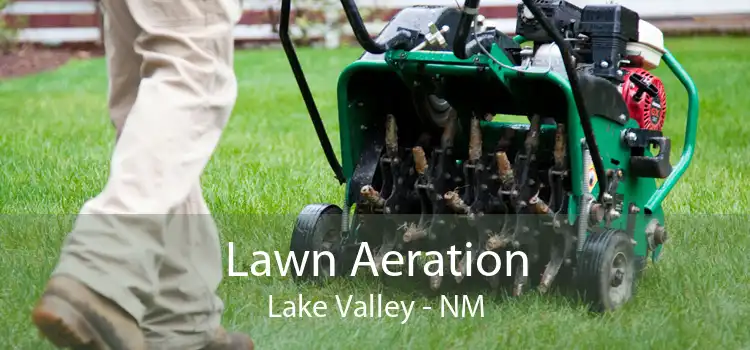 Lawn Aeration Lake Valley - NM