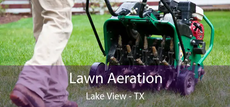 Lawn Aeration Lake View - TX