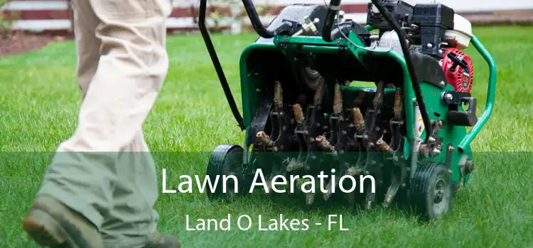  Lawn Aeration Land O Lakes - FL