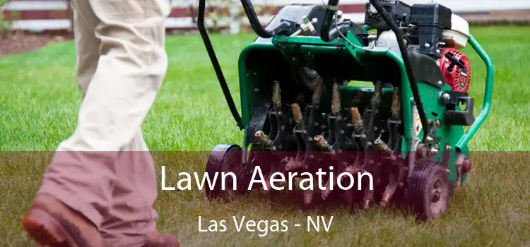 Lawn Aeration Las Vegas - NV