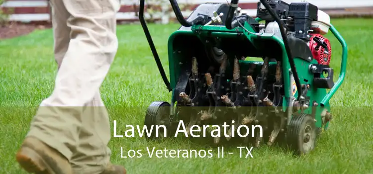 Lawn Aeration Los Veteranos II - TX