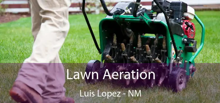  Lawn Aeration Luis Lopez - NM