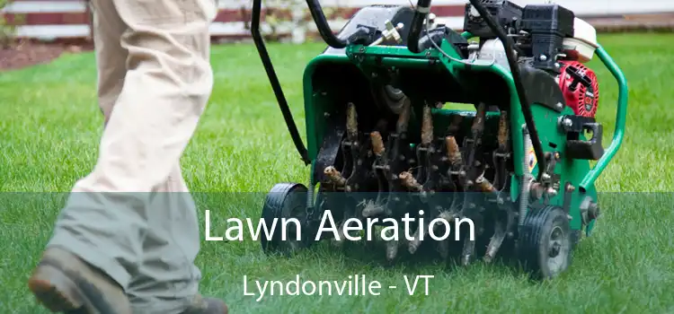  Lawn Aeration Lyndonville - VT