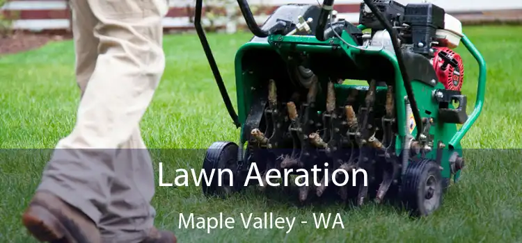 Lawn Aeration Maple Valley - WA