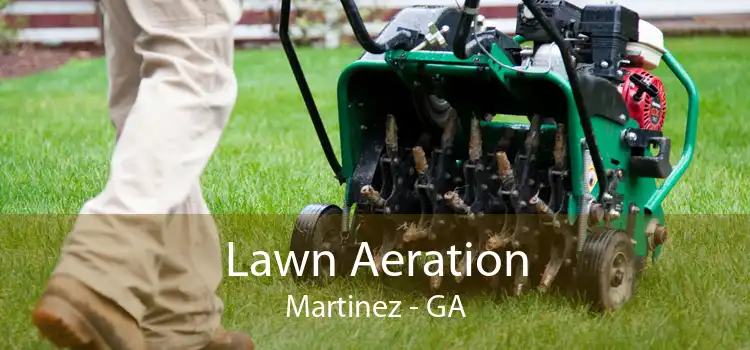 Lawn Aeration Martinez - GA