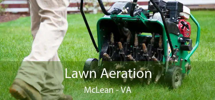 Lawn Aeration McLean - VA