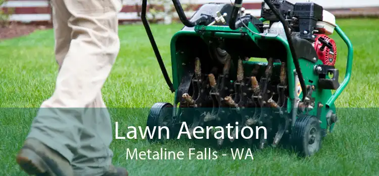 Lawn Aeration Metaline Falls - WA