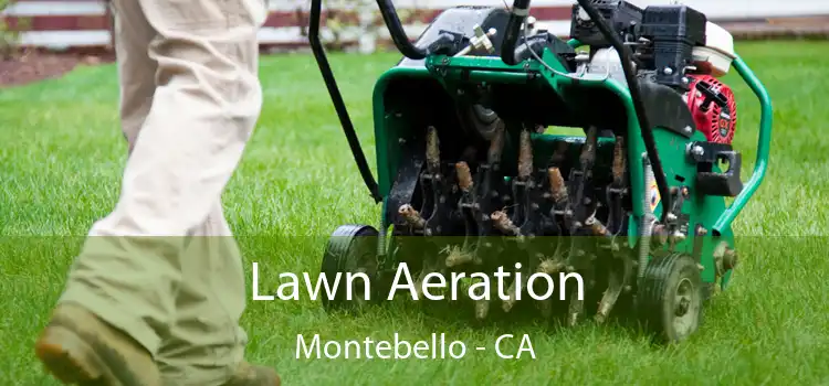  Lawn Aeration Montebello - CA