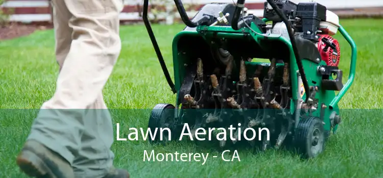 Lawn Aeration Monterey - CA
