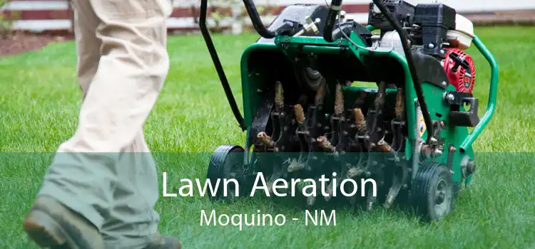 Lawn Aeration Moquino - NM