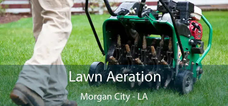 Lawn Aeration Morgan City - LA