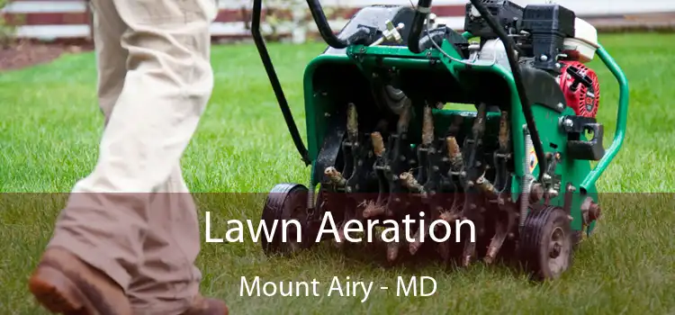 Lawn Aeration Mount Airy - MD