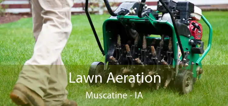 Lawn Aeration Muscatine - IA