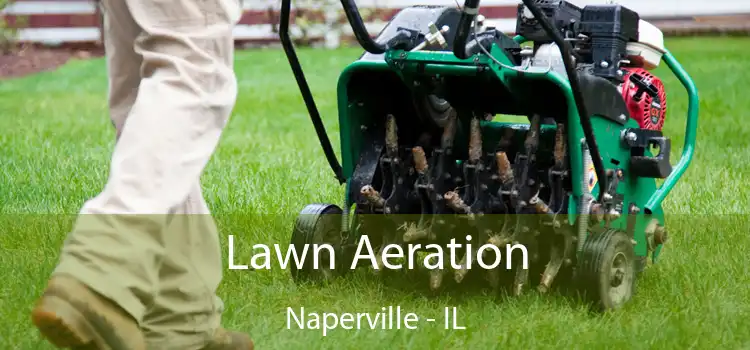 Lawn Aeration Naperville - IL