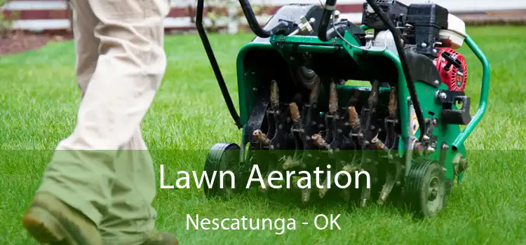 Lawn Aeration Nescatunga - OK