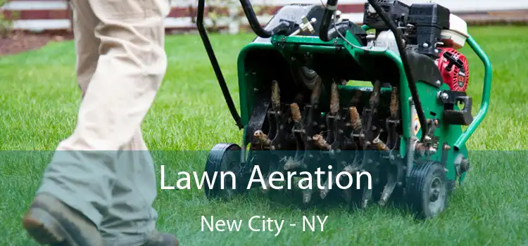 Lawn Aeration New City - NY