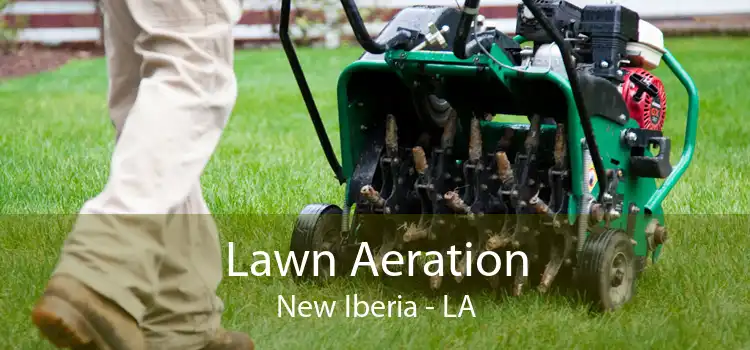 Lawn Aeration New Iberia - LA