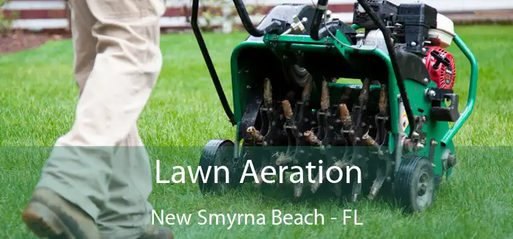 Lawn Aeration New Smyrna Beach - FL