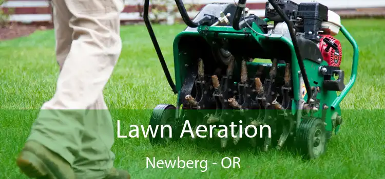 Lawn Aeration Newberg - OR