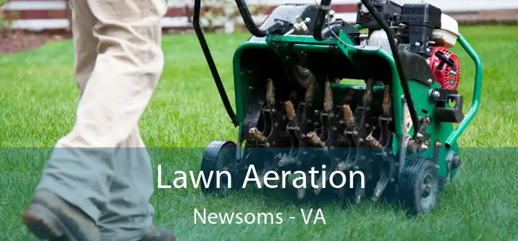 Lawn Aeration Newsoms - VA