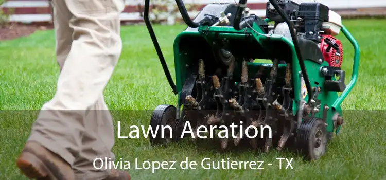 Lawn Aeration Olivia Lopez de Gutierrez - TX