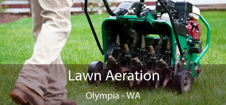 Lawn Aeration Olympia - WA