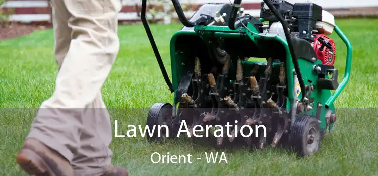 Lawn Aeration Orient - WA