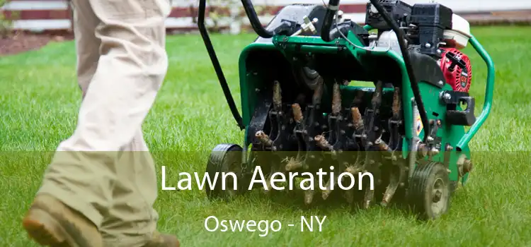 Lawn Aeration Oswego - NY