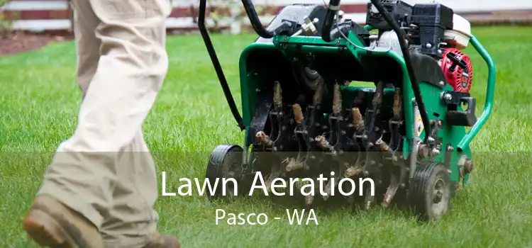 Lawn Aeration Pasco - WA