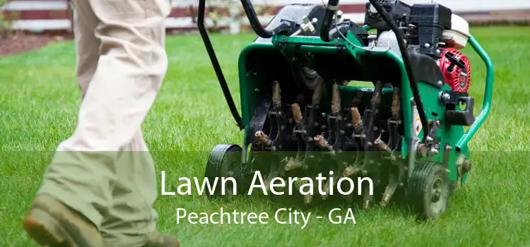 Lawn Aeration Peachtree City - GA