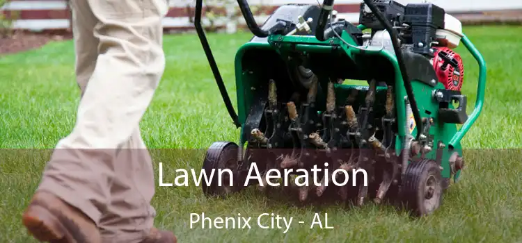 Lawn Aeration Phenix City - AL