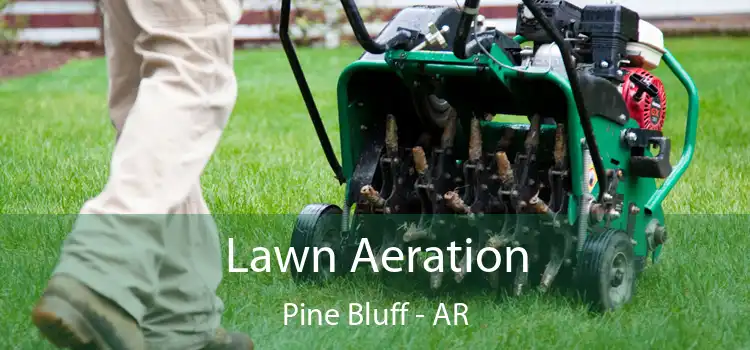 Lawn Aeration Pine Bluff - AR