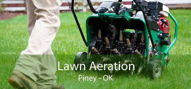 Lawn Aeration Piney - OK