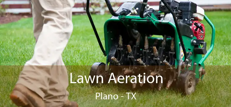 Lawn Aeration Plano - TX