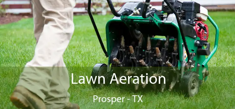 Lawn Aeration Prosper - TX