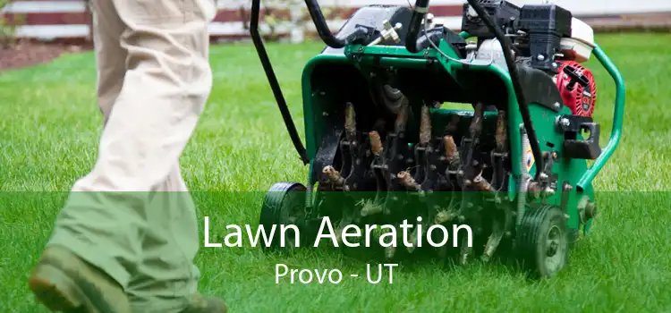 Lawn Aeration Provo - UT
