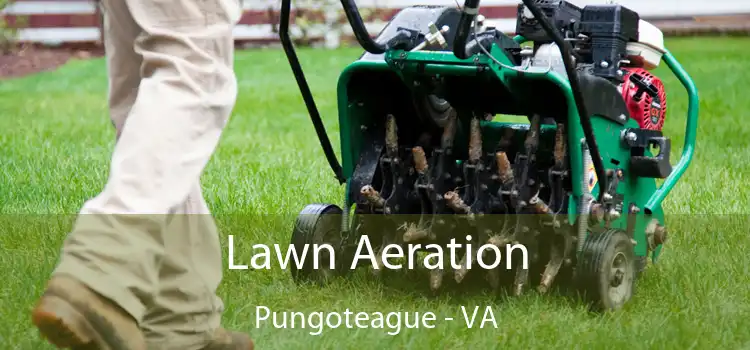Lawn Aeration Pungoteague - VA